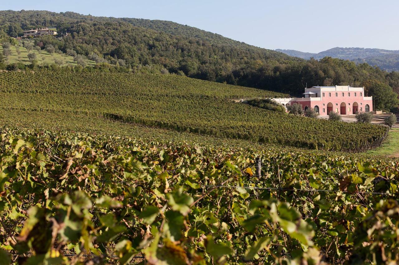 Tenuta Il Sassone - Wine&Food Massa Marittima Exterior photo