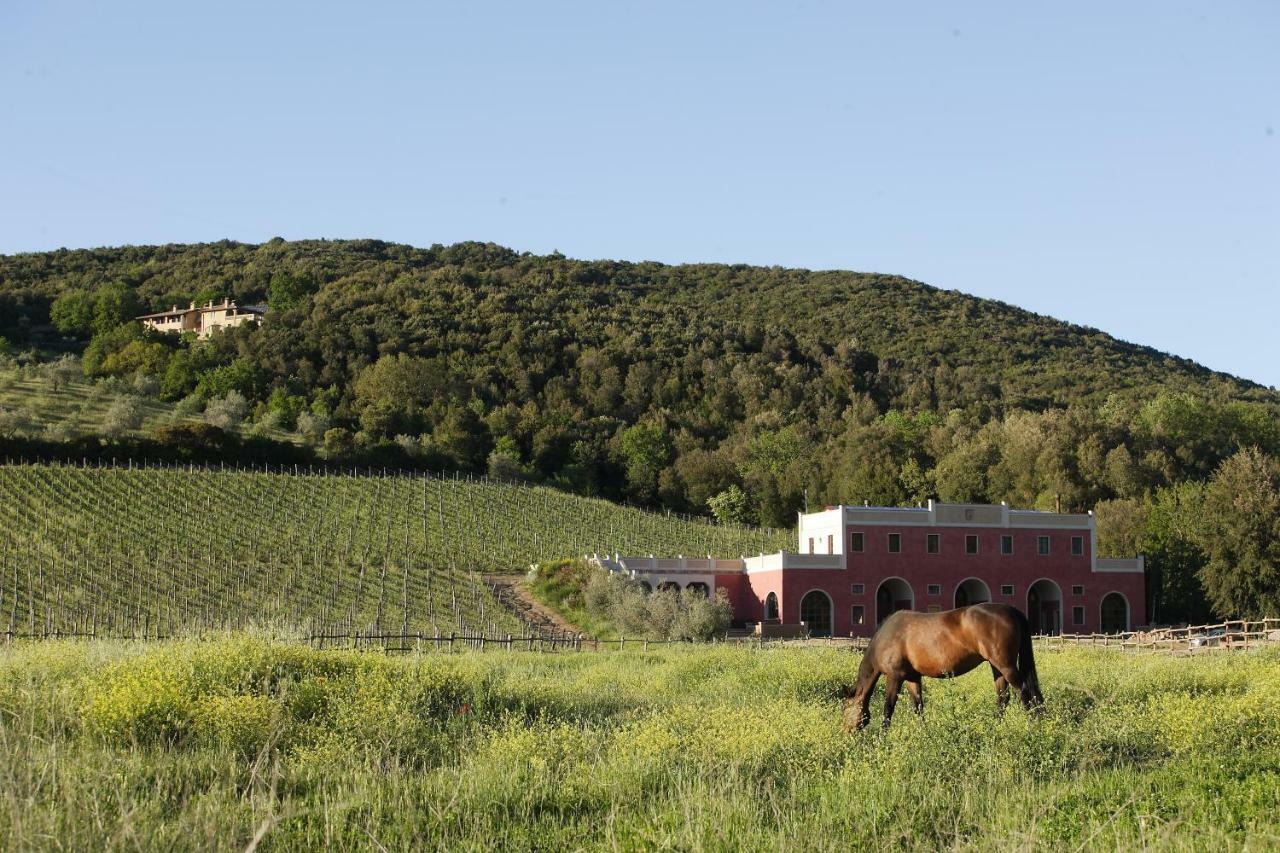 Tenuta Il Sassone - Wine&Food Massa Marittima Exterior photo